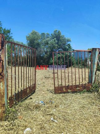 Αγροτεμάχια 250 τ.μ. για πώληση, Χαλκιδική, Καλλικράτεια