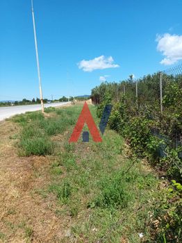 Αγροτεμάχια 9.000 τ.μ. για πώληση