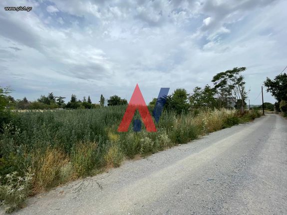 Parcel 4.005 sqm for sale, Thessaloniki - Suburbs, Pylea