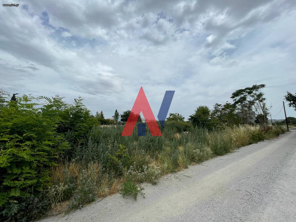 Αγροτεμάχια 4.005 τ.μ. προς ενοικίαση, Θεσσαλονίκη - Περιφ/Κοί Δήμοι, Θέρμη