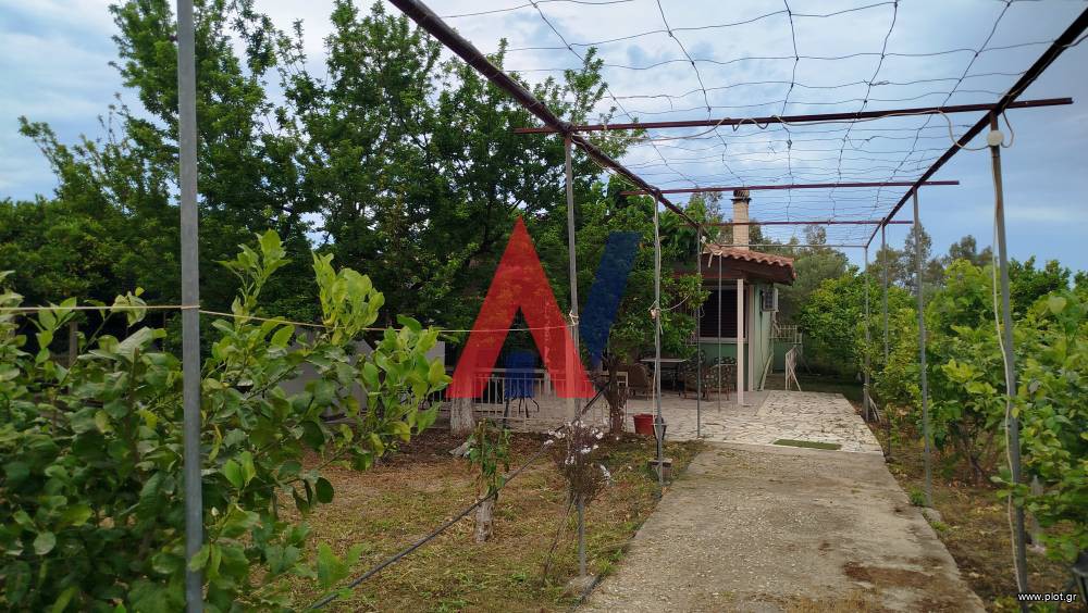Μονοκατοικία 50 τ.μ. προς ενοικίαση, Νικολαίικα