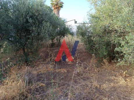 Land plot 500 sqm for sale