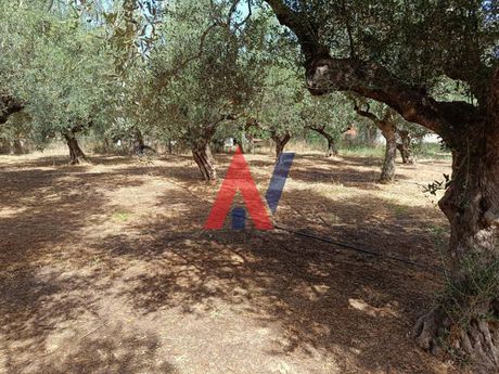 Land plot 500 sqm for sale