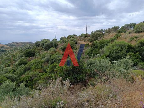 Parcel 9.000 sqm for sale