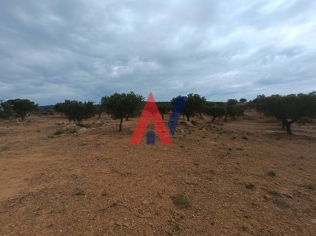 Parcel 30.685 sqm for sale