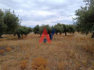 Αγροτεμάχια 1.475 τ.μ. για πώληση