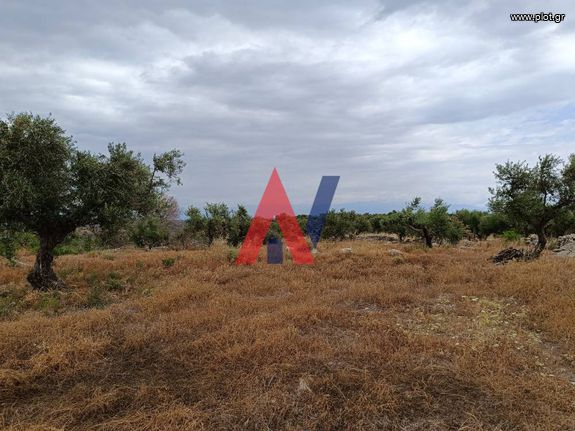 Αγροτεμάχια 2.706 τ.μ. για πώληση, Μεσσηνία, Κορώνη