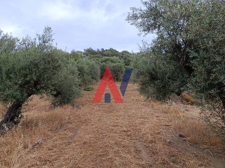 Parcel 2.840 sqm for sale