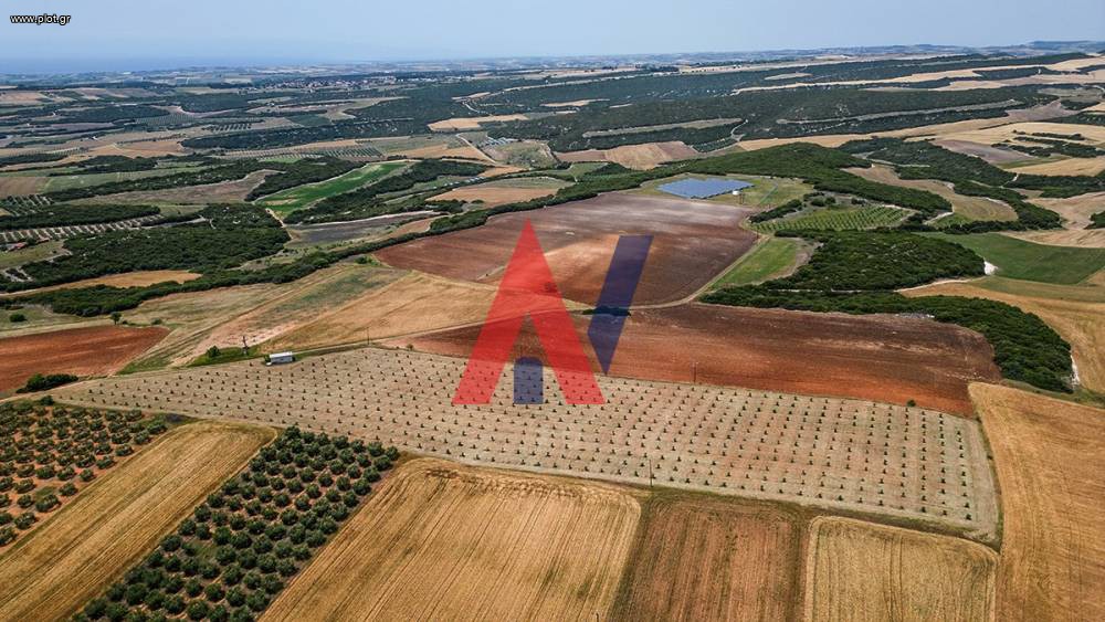 Αγροτεμάχια 36.000 τ.μ. προς πώληση, Ροδόκηπος