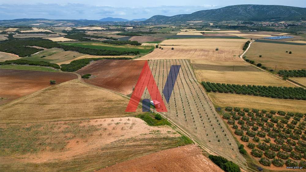 Αγροτεμάχια 36.000 τ.μ. προς πώληση, Ροδόκηπος