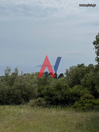 Parcel 9.700 sqm for sale, Chalkidiki, Sithonia
