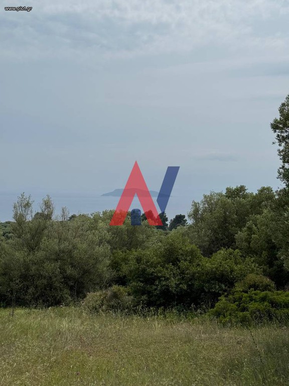 Αγροτεμάχια 9.700 τ.μ. προς πώληση, Ελιά Σιθωνίας