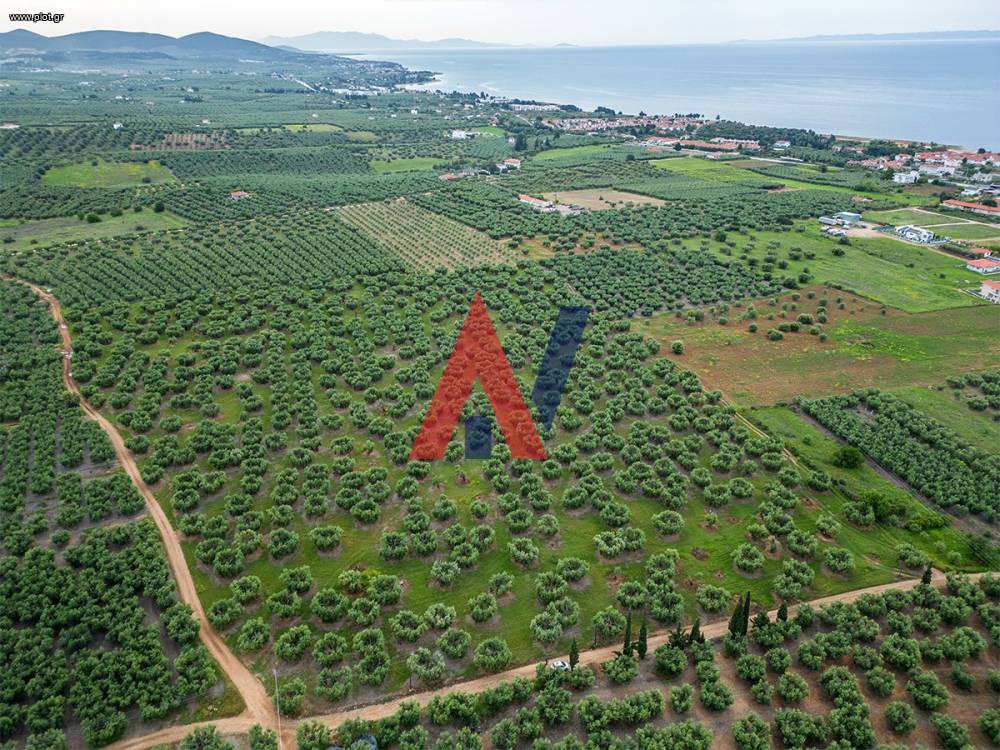 Αγροτεμάχια 50.800 τ.μ. προς πώληση, Καλύβες Πολυγύρου