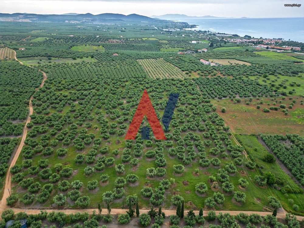 Αγροτεμάχια 50.800 τ.μ. προς πώληση, Καλύβες Πολυγύρου