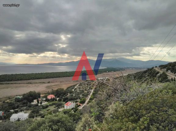 Οικόπεδο 1.120 τ.μ. για πώληση, Αθήνα - Ανατολικά Προάστια, Μαραθώνας