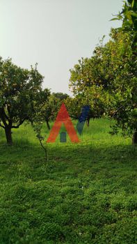 Land plot 2.540sqm for sale-Aigio » Digeliotika