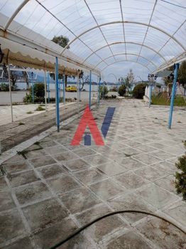 Store 260sqm for rent-Lilantio » Nea Lampsakos