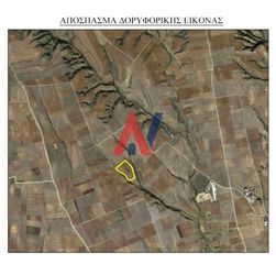 Αγροτεμάχια 27.000 τ.μ. για πώληση