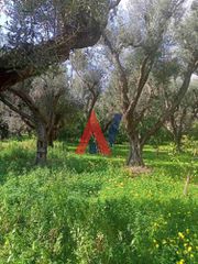 Οικόπεδο 2.743 τ.μ. για πώληση
