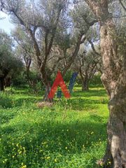 Οικόπεδο 2.743 τ.μ. πρός πώληση, Αχαΐα, Διακοπτό-thumb-1