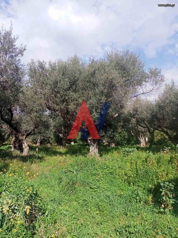 Οικόπεδο 2.743 τ.μ. πρός πώληση, Αχαΐα, Διακοπτό