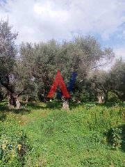 Οικόπεδο 2.743 τ.μ. πρός πώληση, Αχαΐα, Διακοπτό-thumb-3