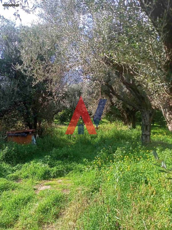 Οικόπεδο 1.626 τ.μ. πρός πώληση, Αχαΐα, Διακοπτό