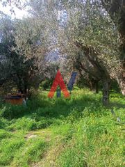 Οικόπεδο 1.626 τ.μ. πρός πώληση, Αχαΐα, Διακοπτό-thumb-2
