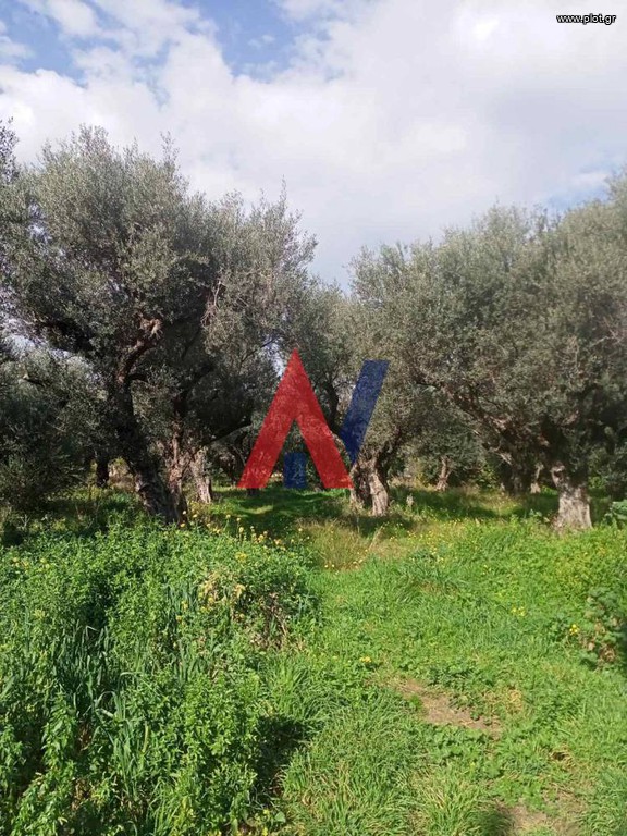 Οικόπεδο 1.626 τ.μ. πρός πώληση, Αχαΐα, Διακοπτό