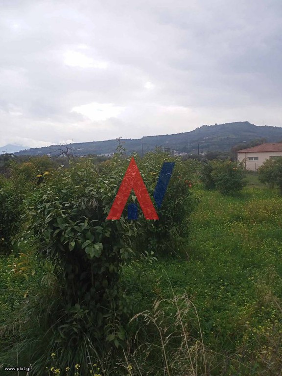Οικόπεδο 1.000 τ.μ. πρός πώληση, Αχαΐα, Αιγιάλεια