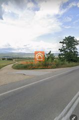 Αγροτεμάχια 4.300 τ.μ. πρός πώληση