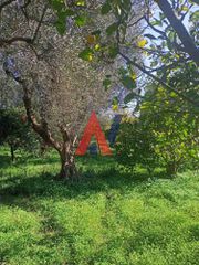 Οικόπεδο 7.000 τ.μ. για πώληση, Αχαΐα, Αίγιο-thumb-2