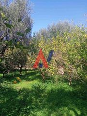 Οικόπεδο 7.000 τ.μ. για πώληση, Αχαΐα, Αίγιο-thumb-4
