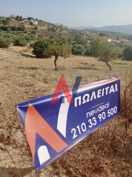 Οικόπεδο 1.081 τ.μ. για πώληση
