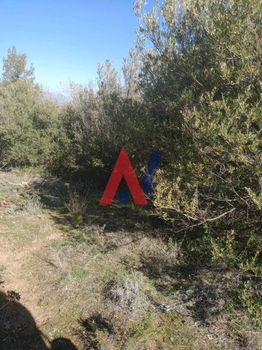 Αγροτεμάχια 175 τ.μ. για πώληση
