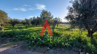 Οικόπεδο 640 τ.μ. πρός πώληση, Αργολίδα, Μυκήνες-thumb-1