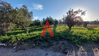 Οικόπεδο 640 τ.μ. πρός πώληση, Αργολίδα, Μυκήνες-thumb-2