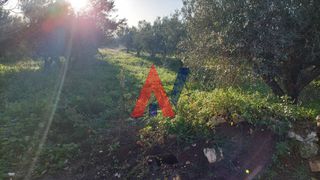 Οικόπεδο 640 τ.μ. πρός πώληση, Αργολίδα, Μυκήνες-thumb-3