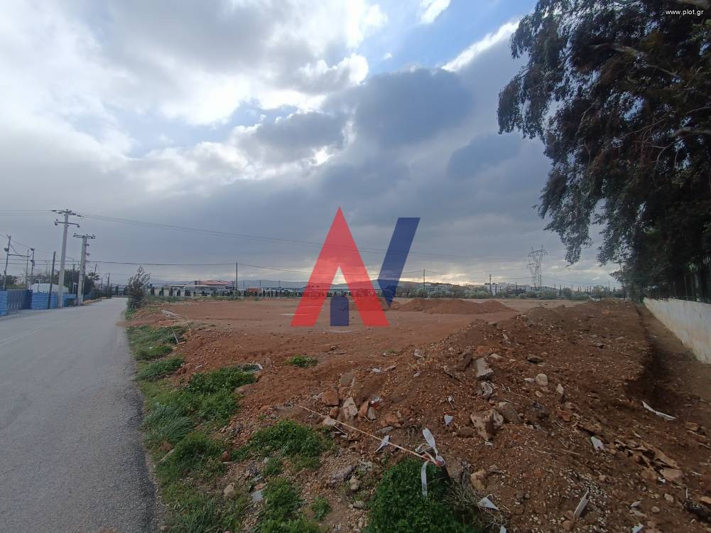 Οικόπεδο 12.000 τ.μ. προς ενοικίαση, Αττική - Υπόλοιπο, Ελευσίνα