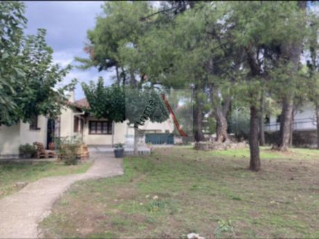 Οικόπεδο 1.200 τ.μ. για πώληση