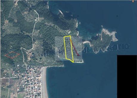 Αγροτεμάχια 22.000 τ.μ. για πώληση