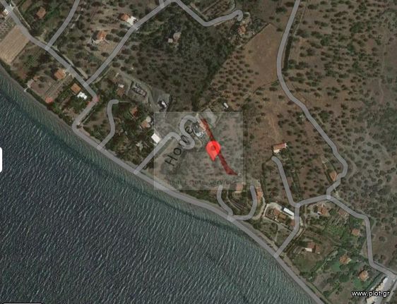 Οικόπεδο 8.409 τ.μ. για πώληση, Εύβοια, Μεσσαπία