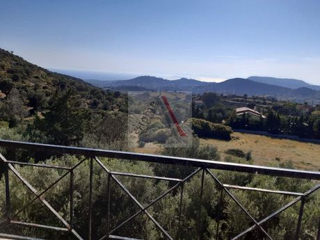 Detached home 195sqm for sale-Kalivia Thorikou » Lagonisi
