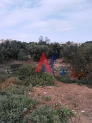 Οικόπεδο 1.300 τ.μ. για πώληση