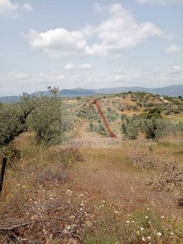 Parcel 38.884sqm for sale-Kranidi » Rado