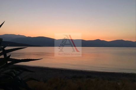 Land plot 2.417sqm for sale-Galaxidi » Agios Georgios