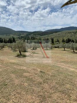 Parcel 12.147sqm for sale-Korinthos » Galota