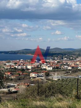 Αγροτεμάχια 4.450 τ.μ. για πώληση