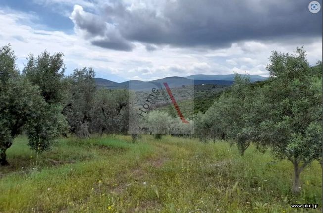 Αγροτεμάχια 8.000 τ.μ. για πώληση, Φθιώτιδας, Στυλίδα