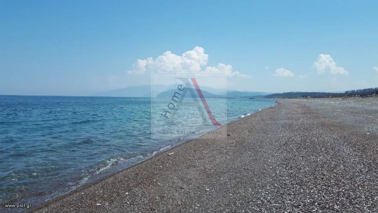 Μονοκατοικία 160 τ.μ. για πώληση, Εύβοια, Νηλέα